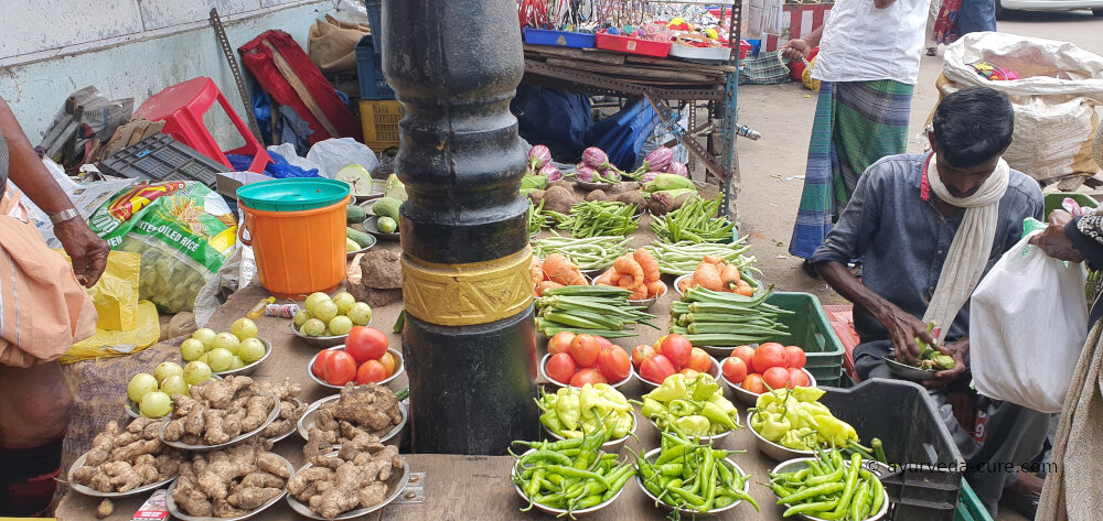 Alimentation ayurvédique et phytothérapie